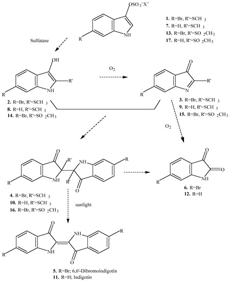 Molecules 06 00070 g001 550