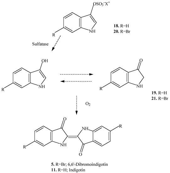 Molecules 06 00070 g002 550