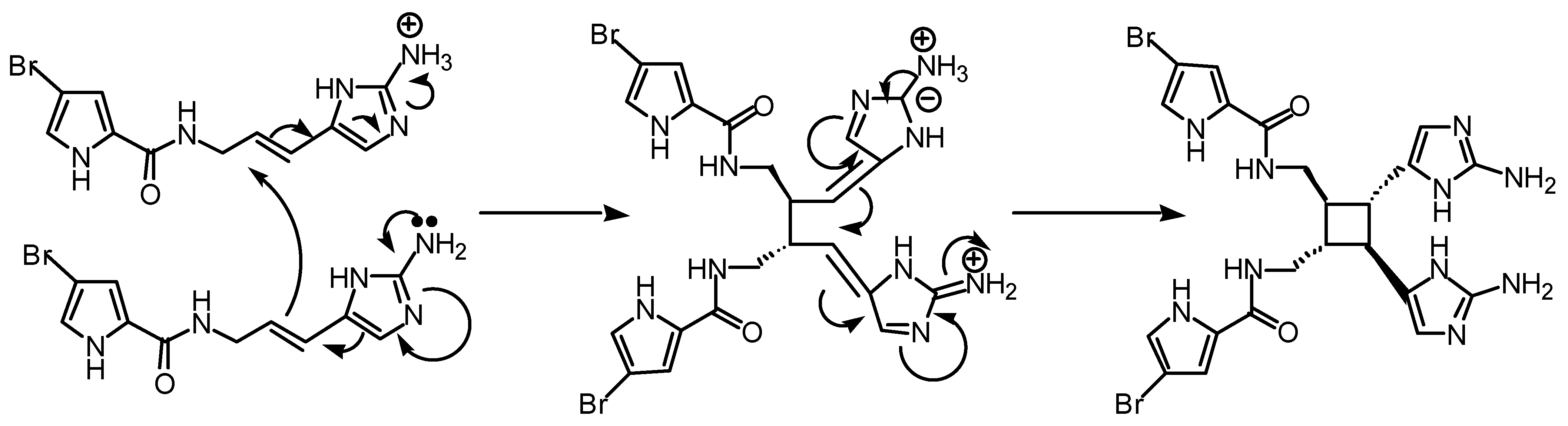 Molecules 06 00130 g006