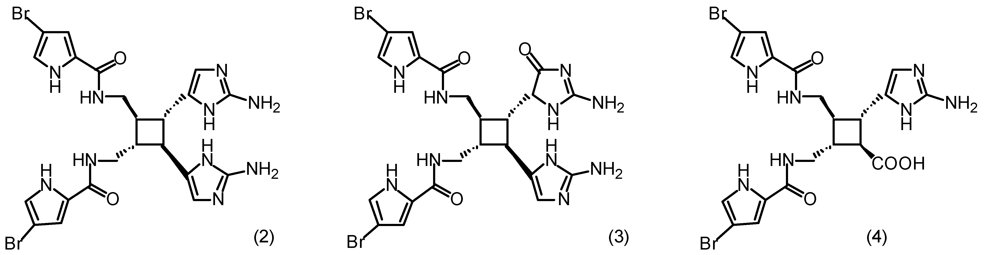 Molecules 06 00130 i002