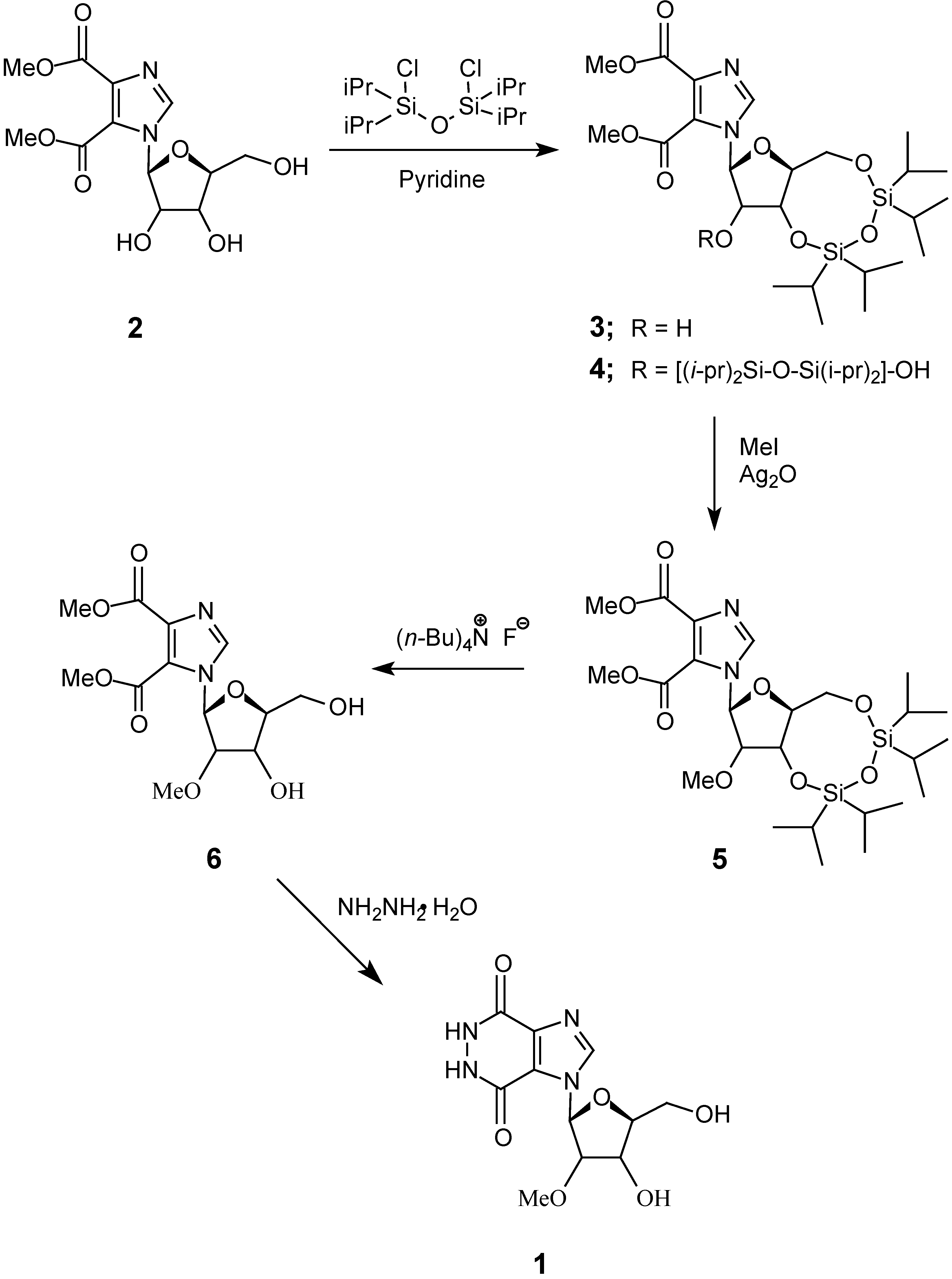 Molecules 06 00203 g001