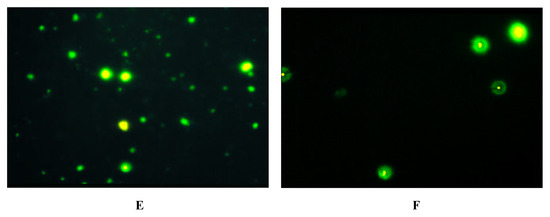 Molecules 06 00448 g001b 550