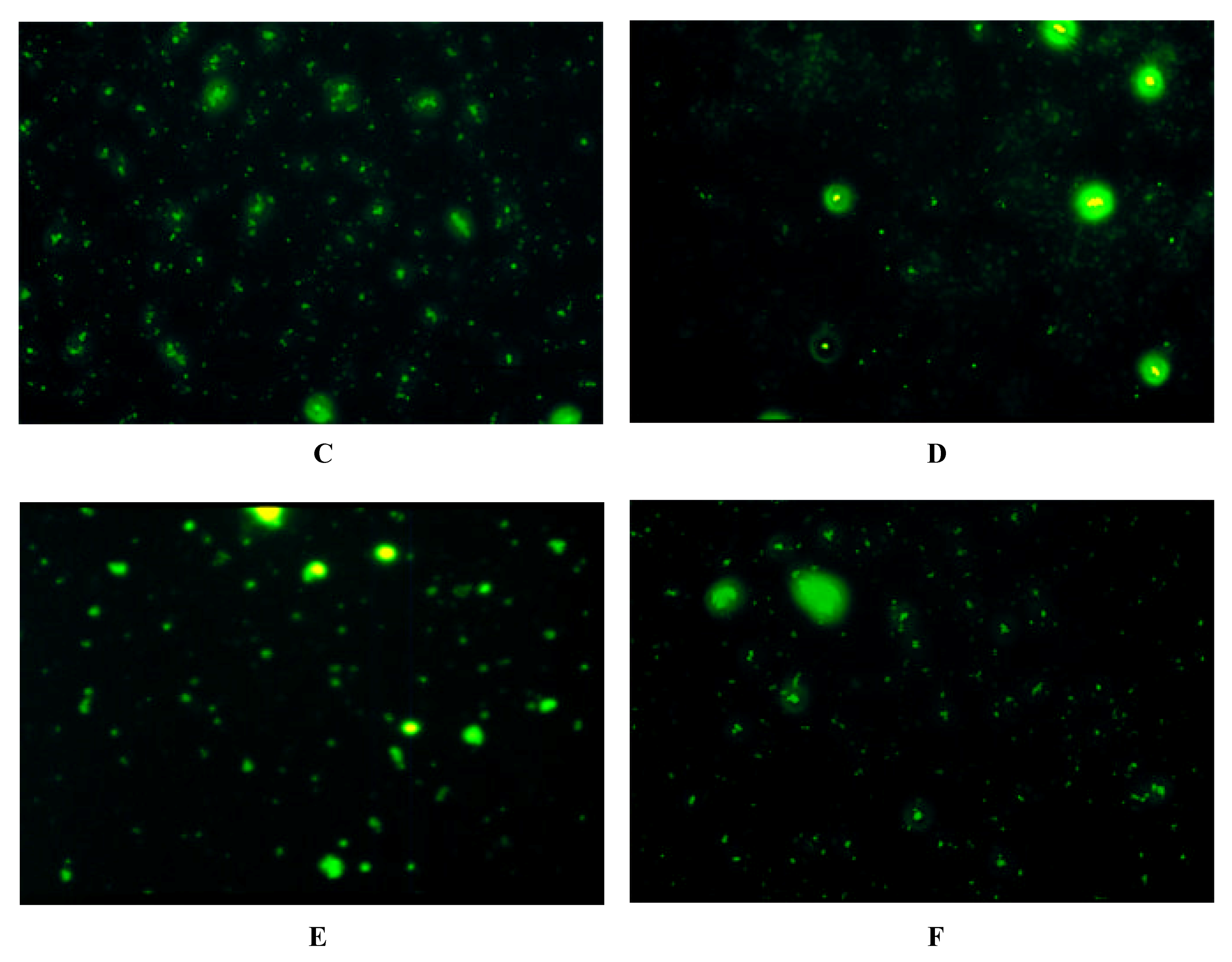 Molecules 06 00448 g002b