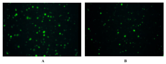Molecules 06 00448 g003 550