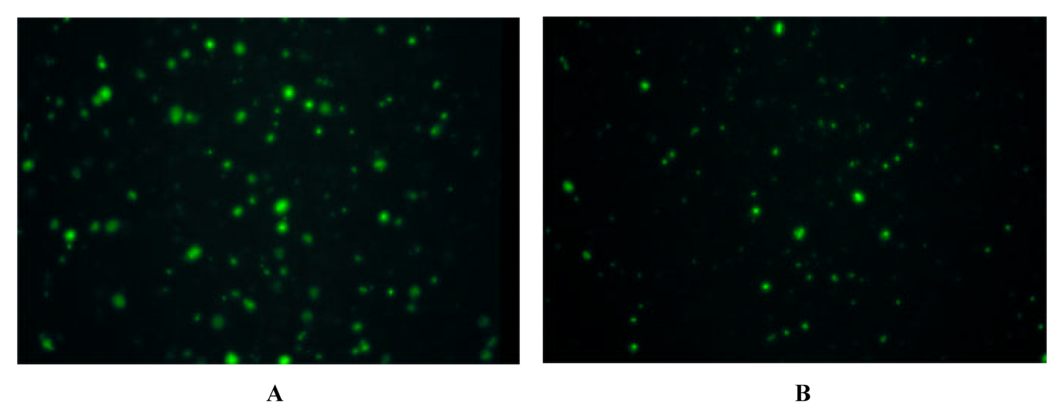 Molecules 06 00448 g003