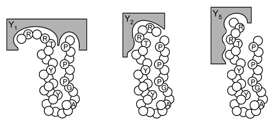 Molecules 06 00448 g004 550
