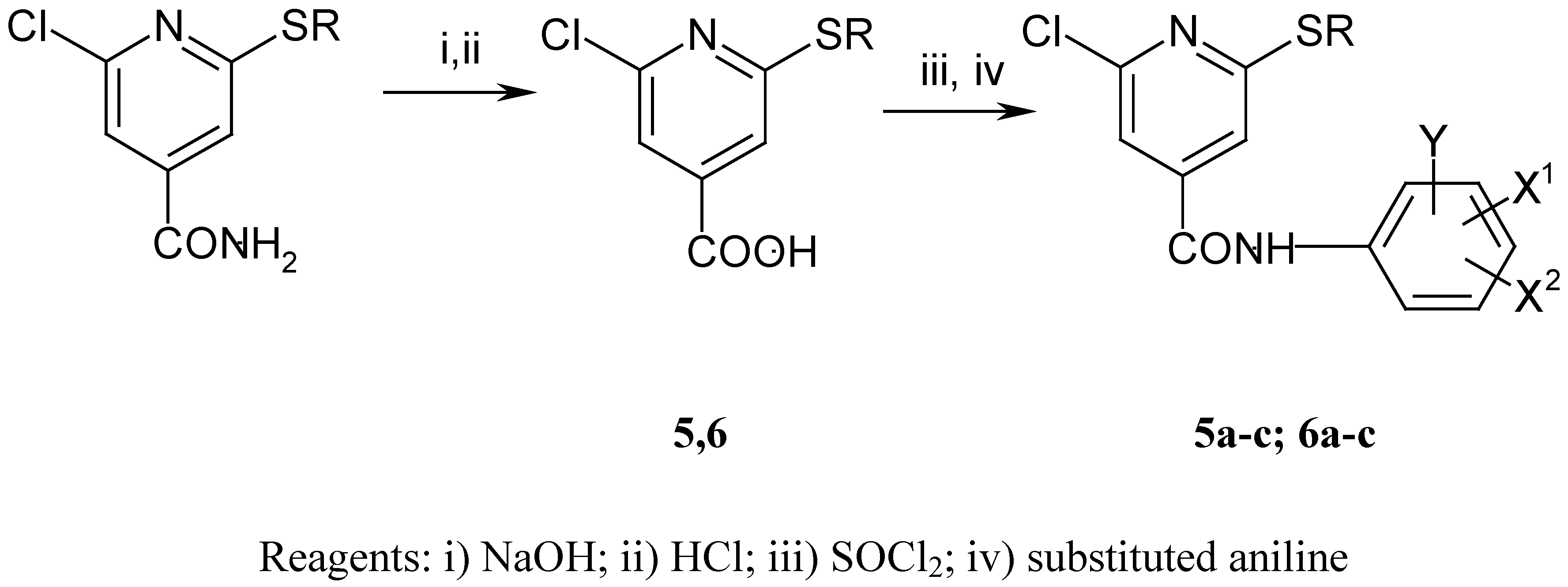 Molecules 06 00603 sch002