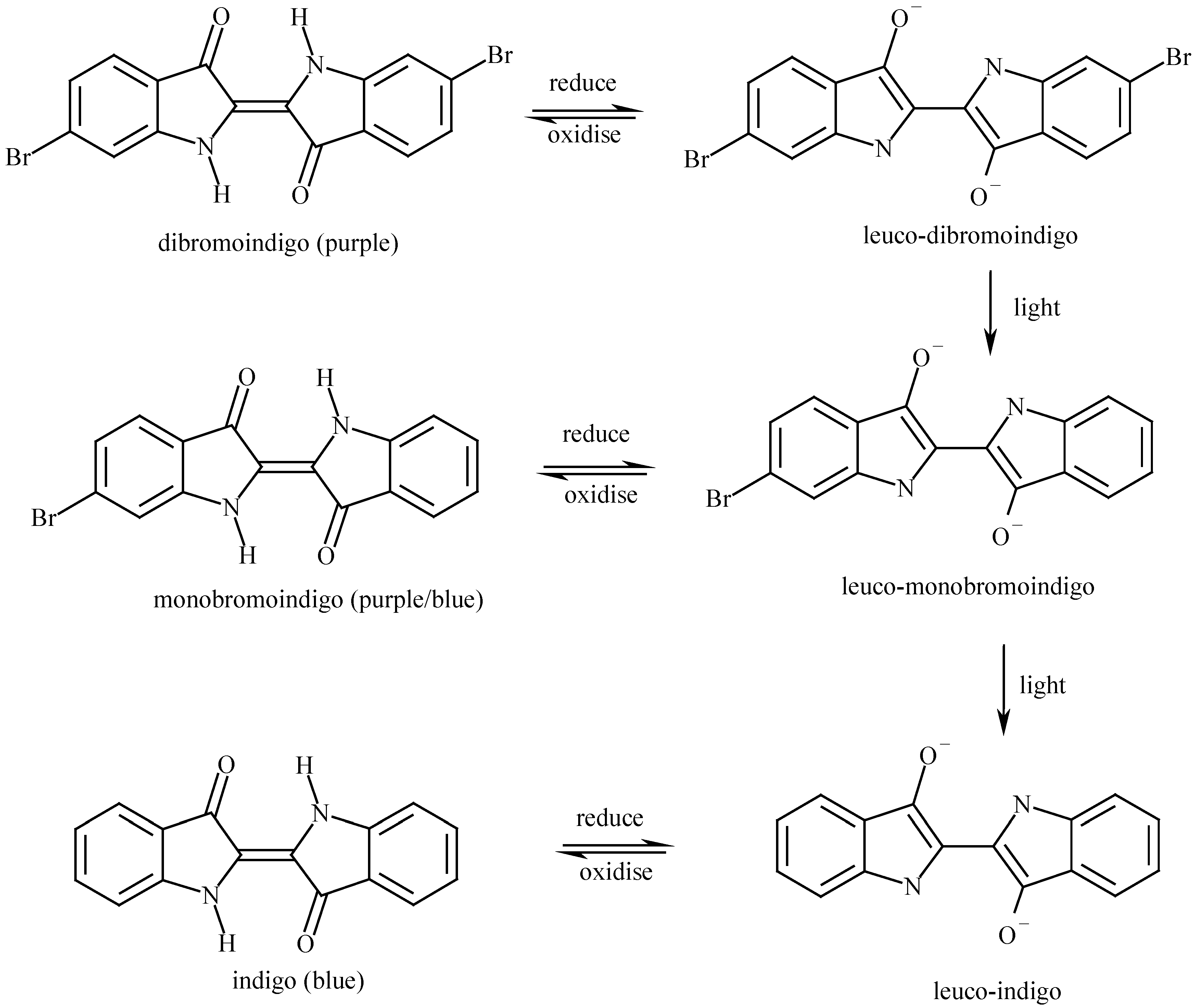 Molecules 06 00736 g013