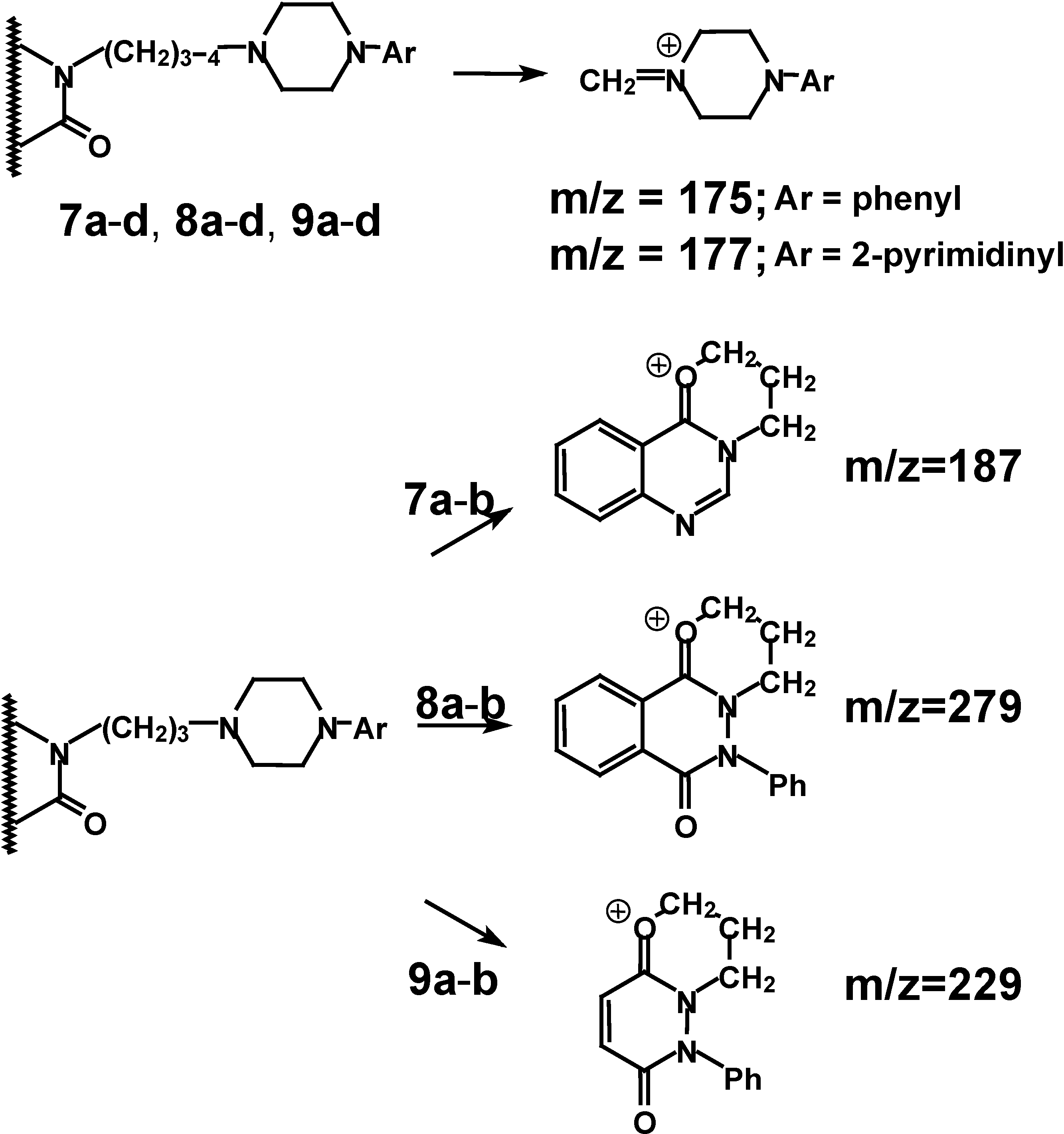 Molecules 06 00784 g004
