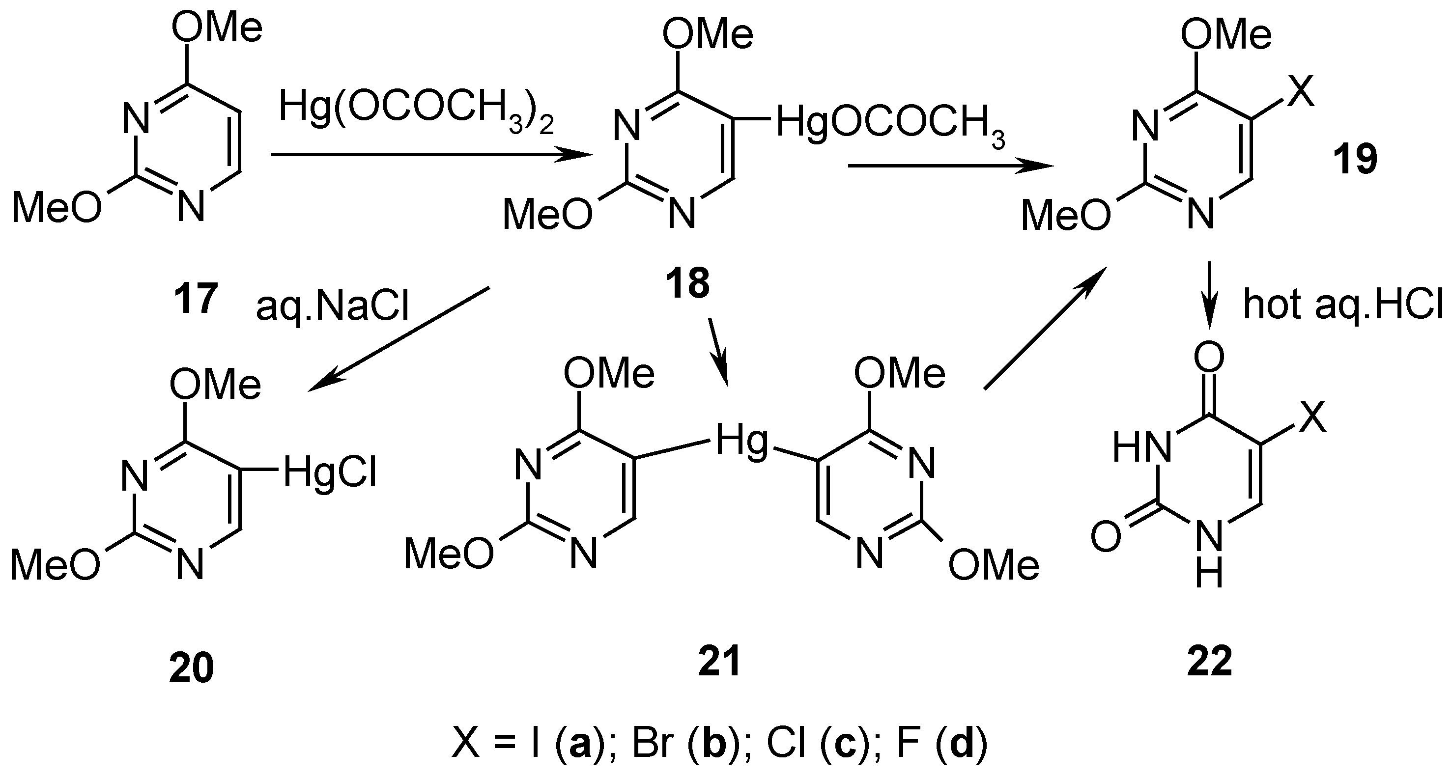 Molecules 06 00927 g008