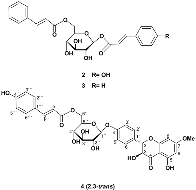 Molecules 07 00075 i001
