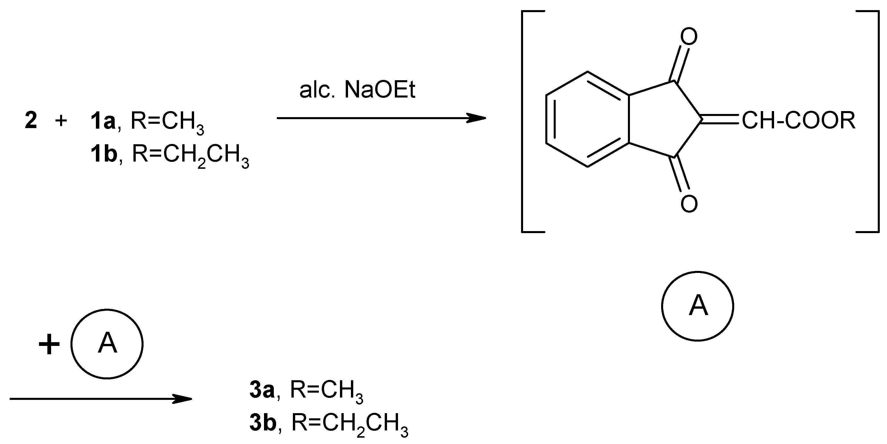 Molecules 07 00081 g002