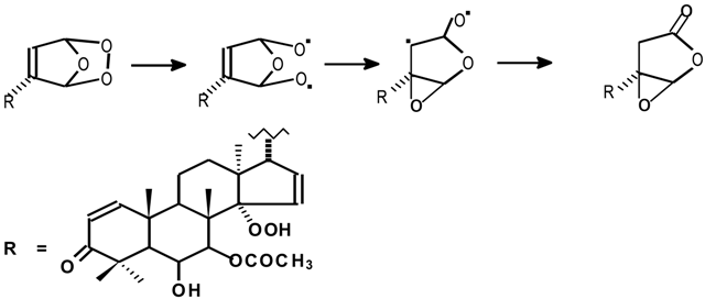 Molecules 07 00112 i003