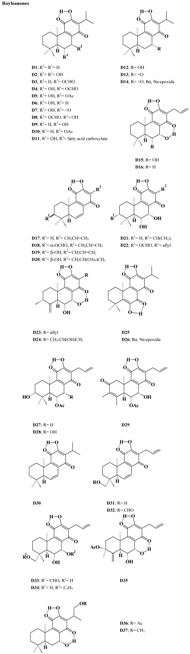 Molecules 07 00271 i001