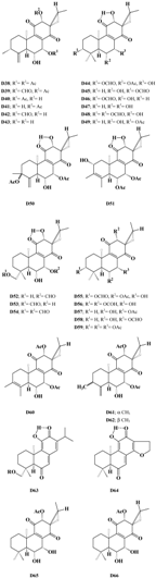 Molecules 07 00271 i002
