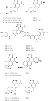 Molecules 07 00271 i004