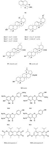 Molecules 07 00271 i015