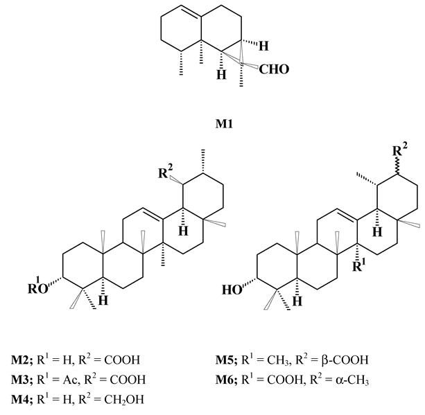 Molecules 07 00271 i016