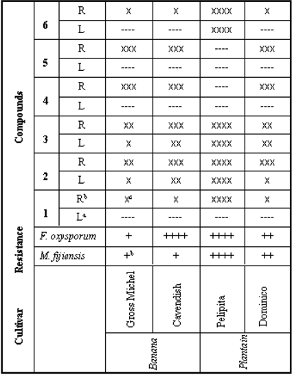 Molecules 07 00331 i001