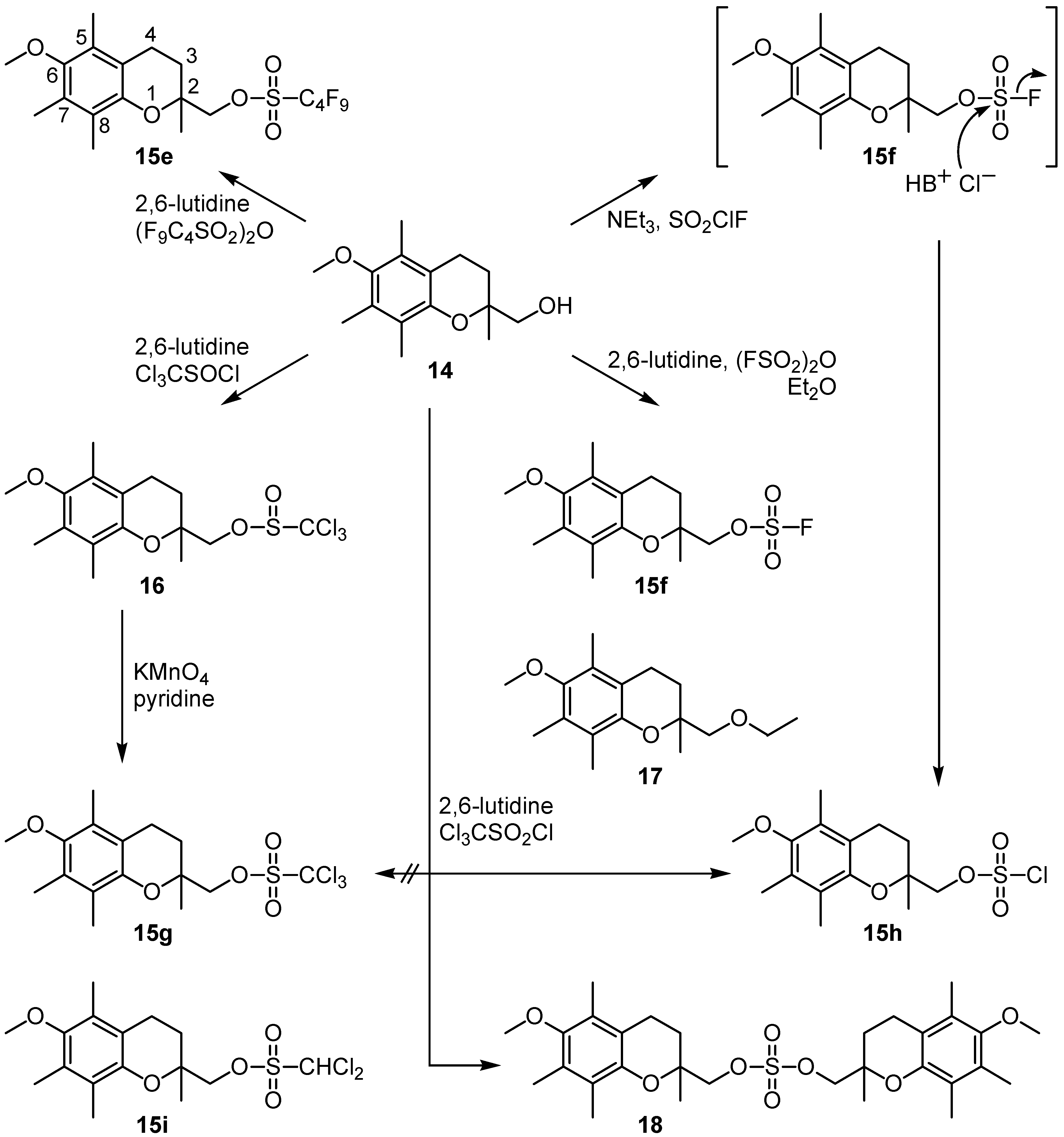 Molecules 07 00601 g002