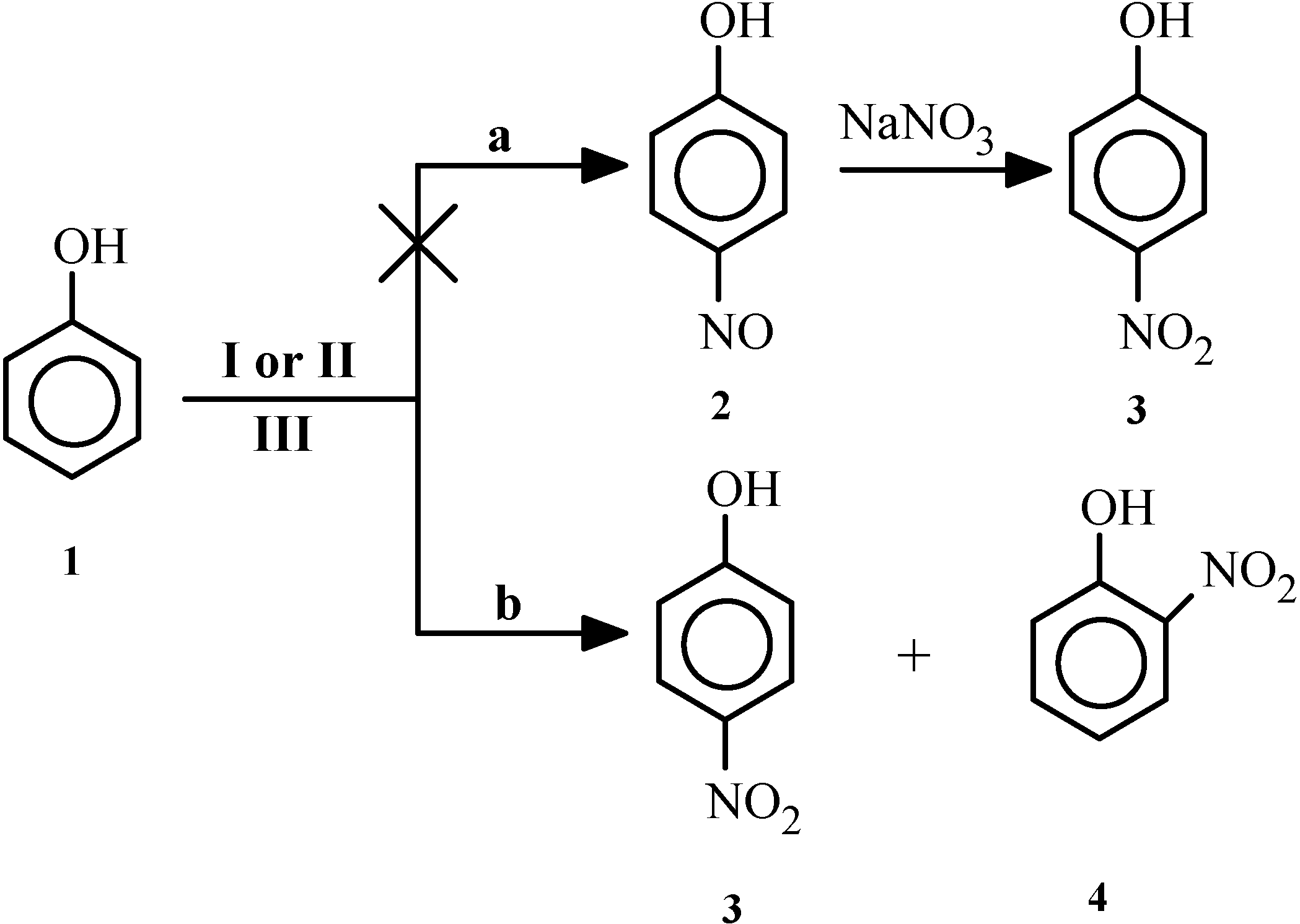 Molecules 07 00734 g002