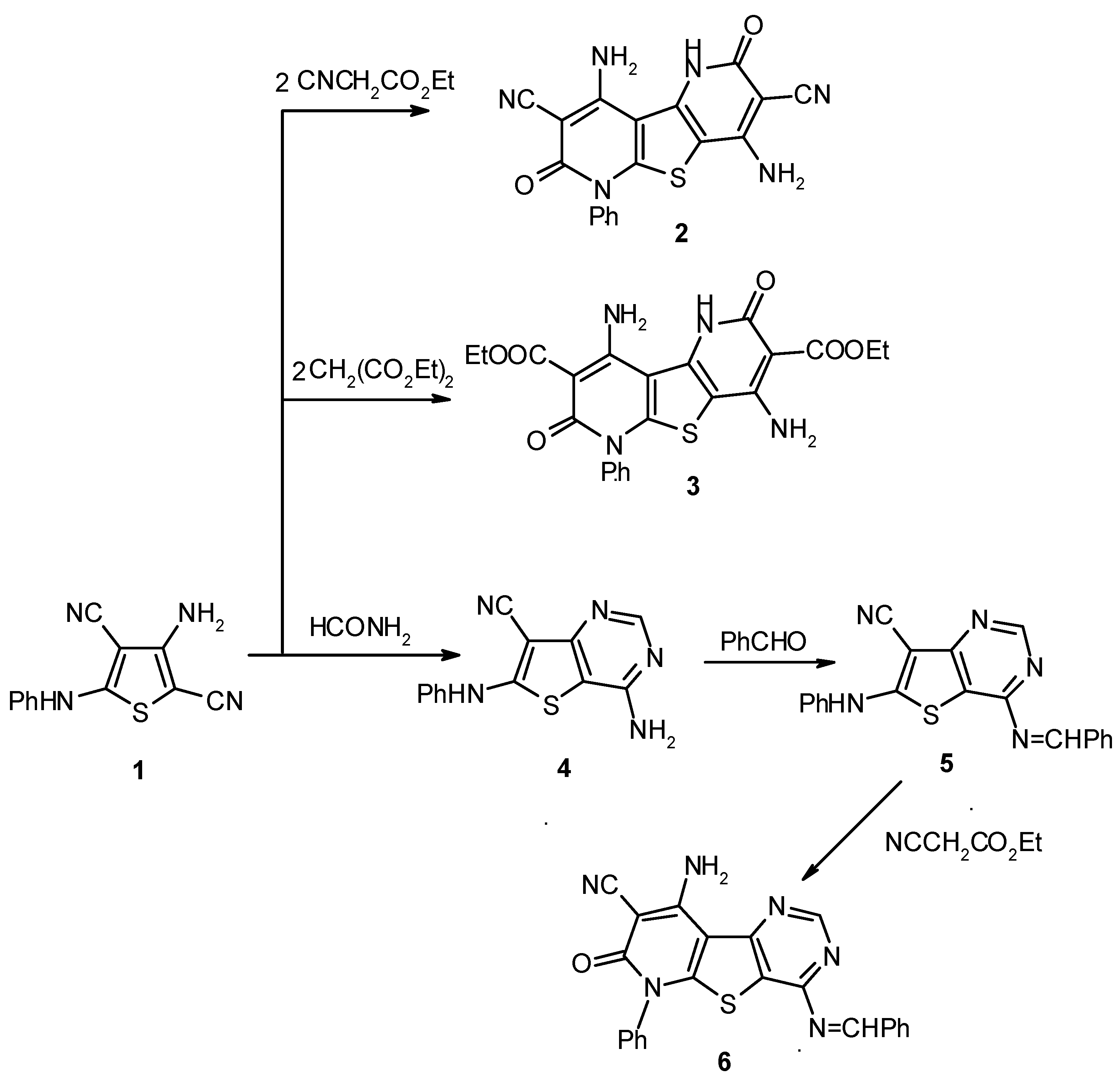 Molecules 07 00756 g002