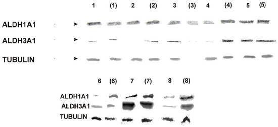 Molecules 07 00896 g001 550
