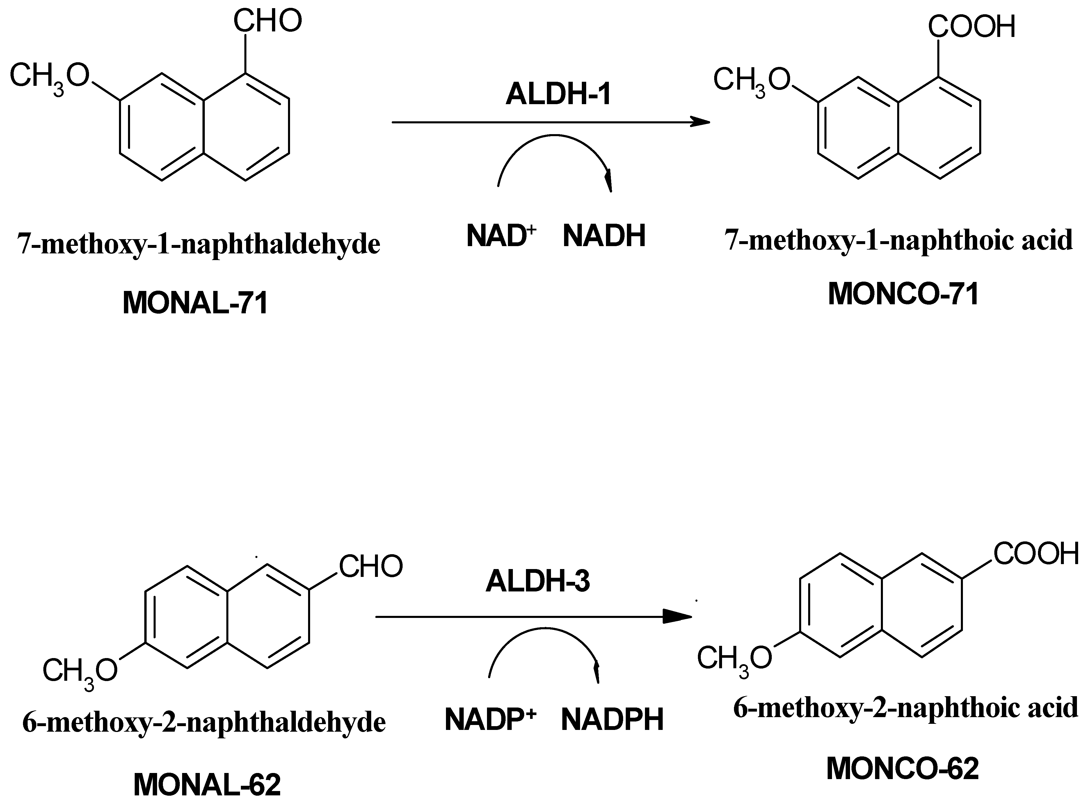 Molecules 07 00896 g002
