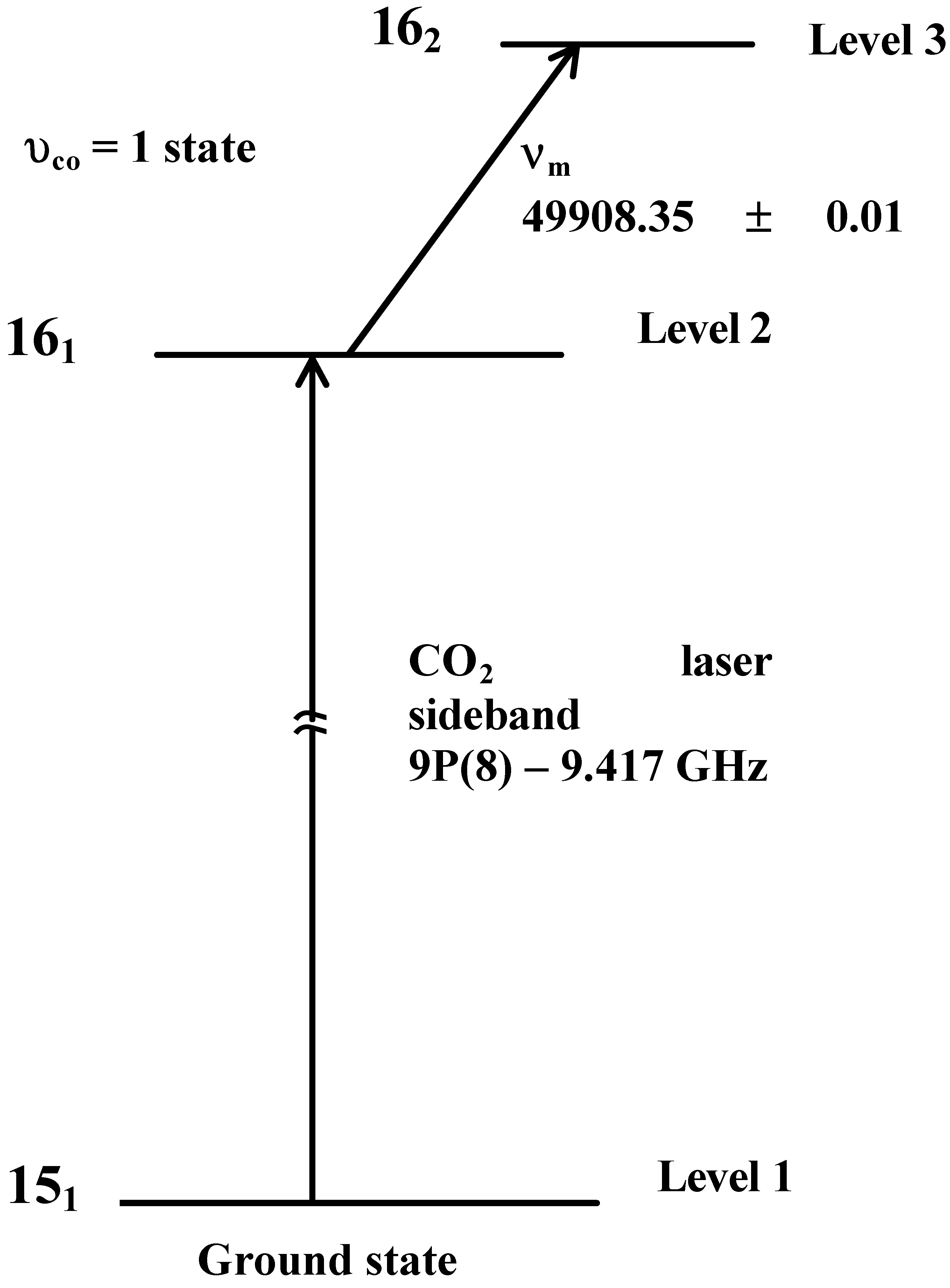 Molecules 08 00092 g002