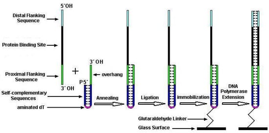 Molecules 08 00153 g001 550