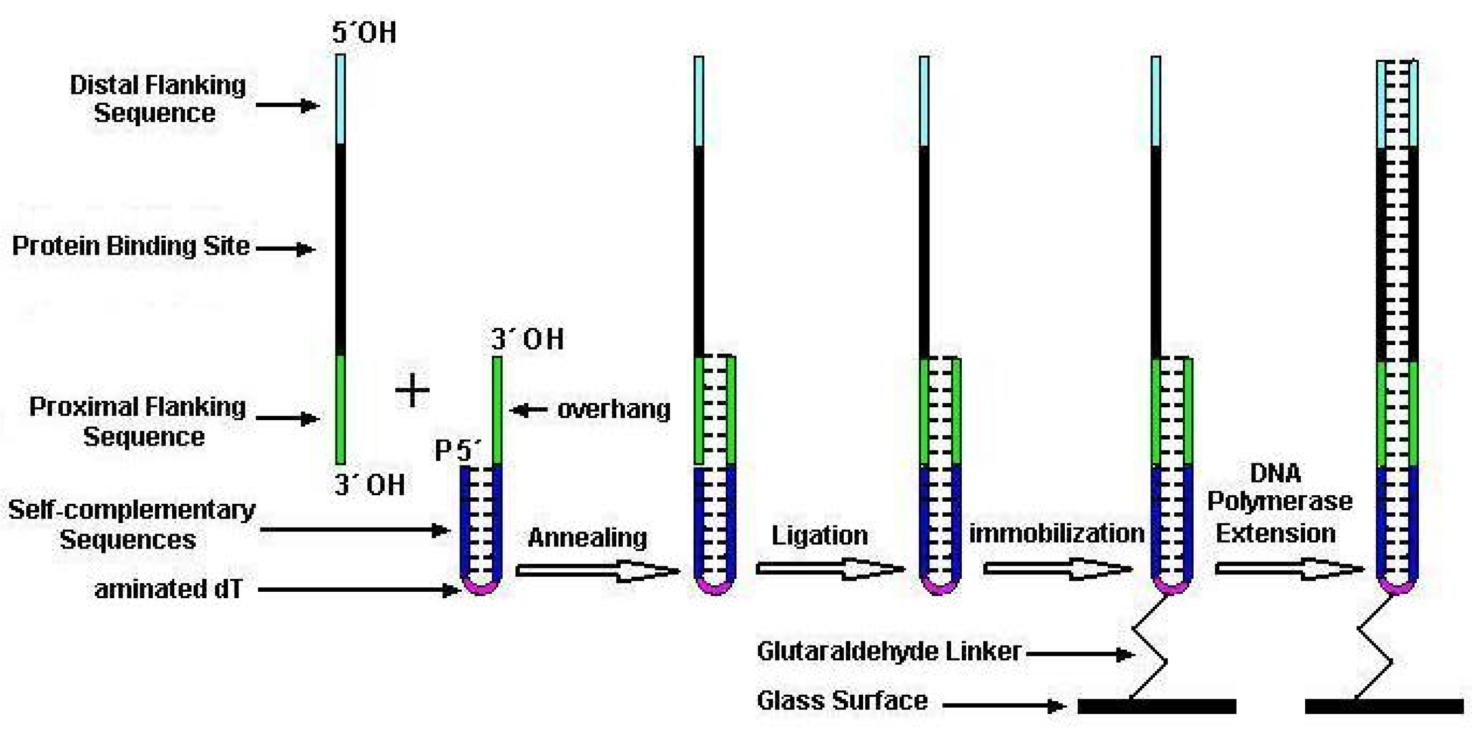 Molecules 08 00153 g001