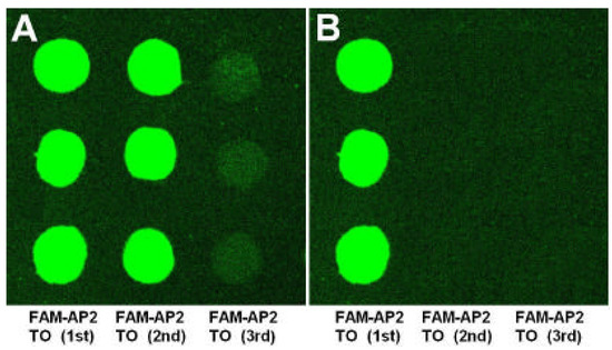 Molecules 08 00153 g002 550