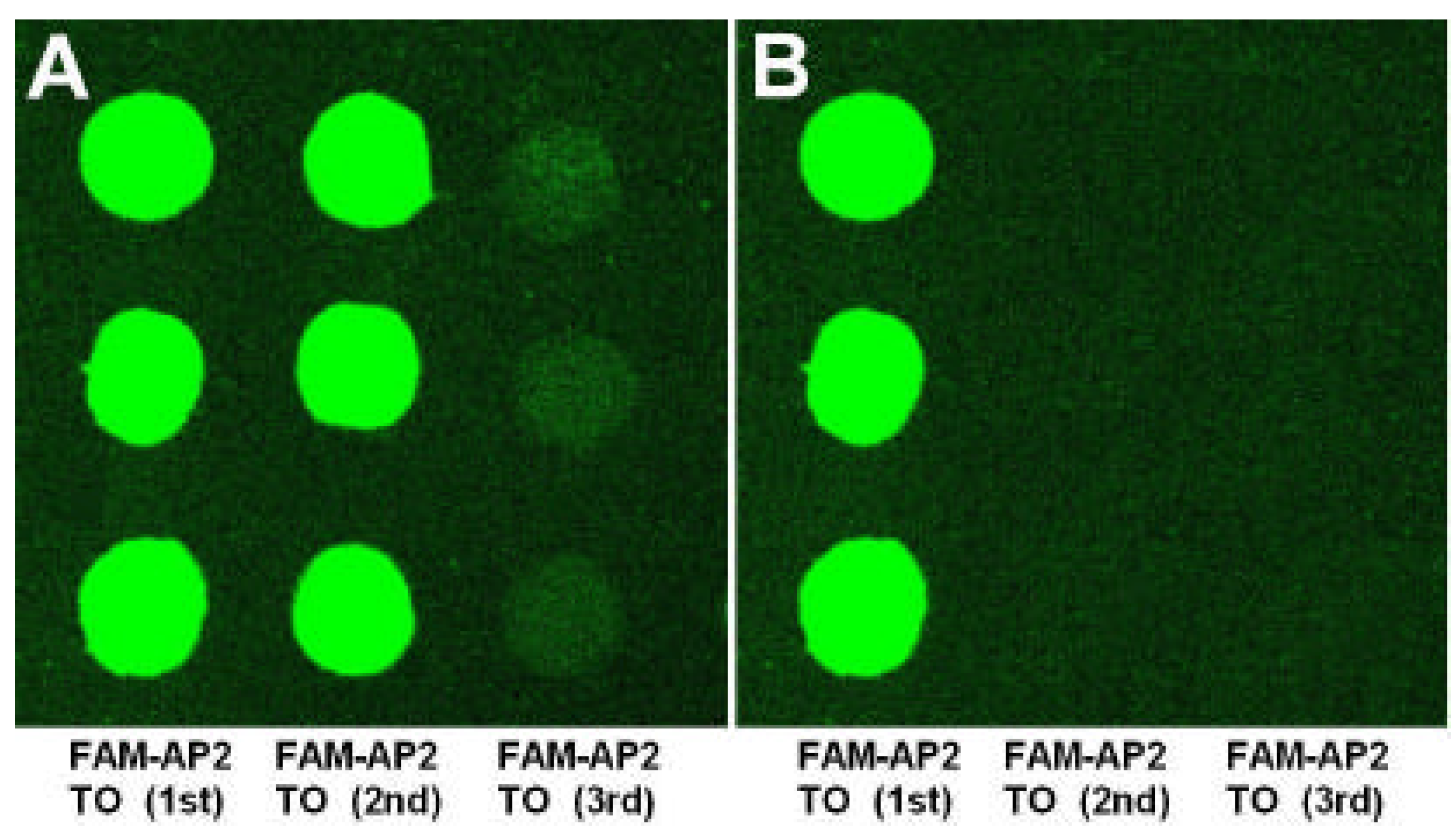 Molecules 08 00153 g002
