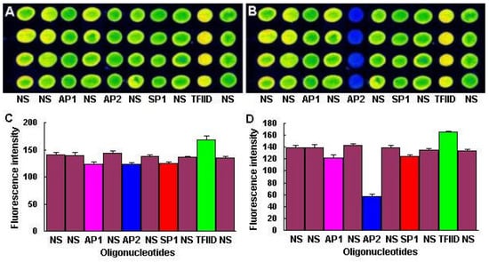 Molecules 08 00153 g003 550
