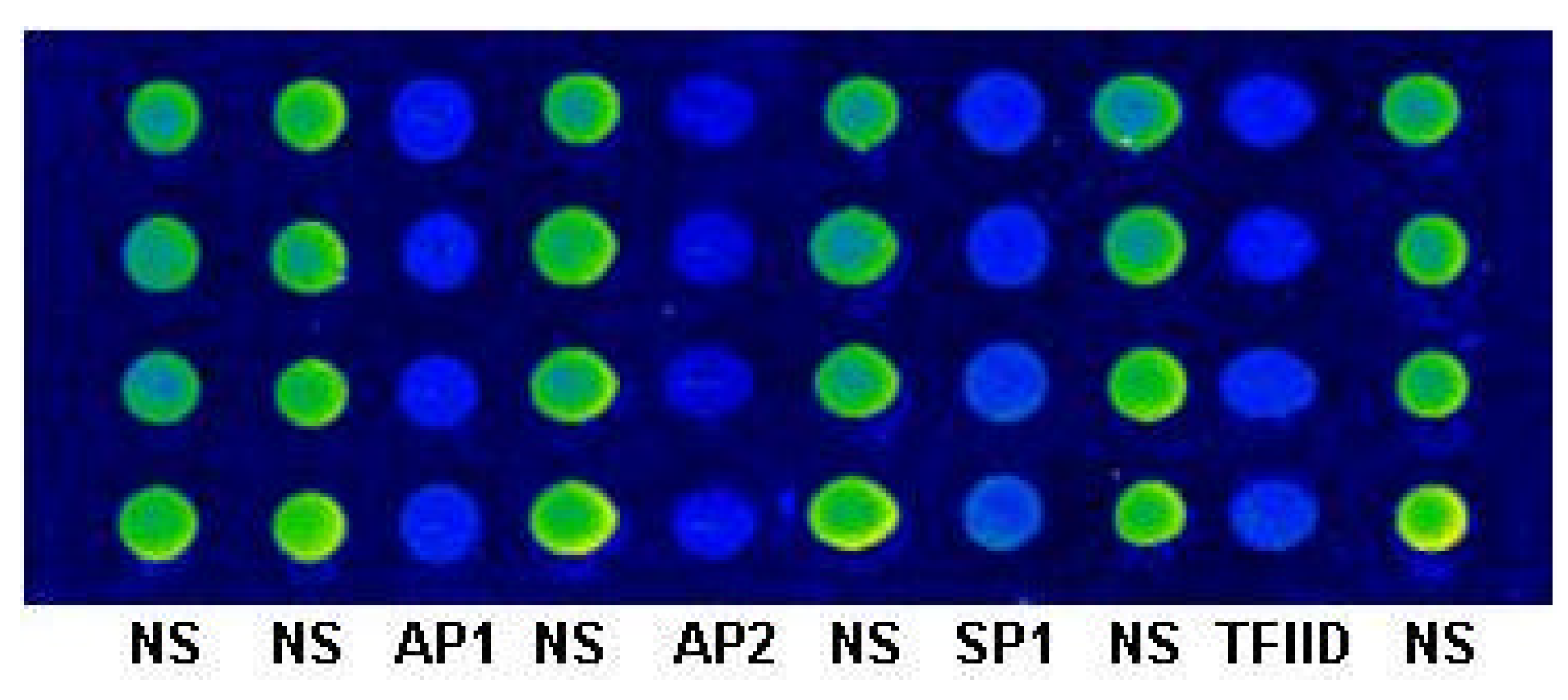 Molecules 08 00153 g004