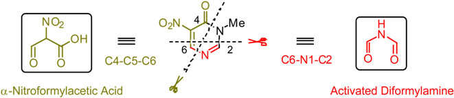 Molecules 08 00500 i001