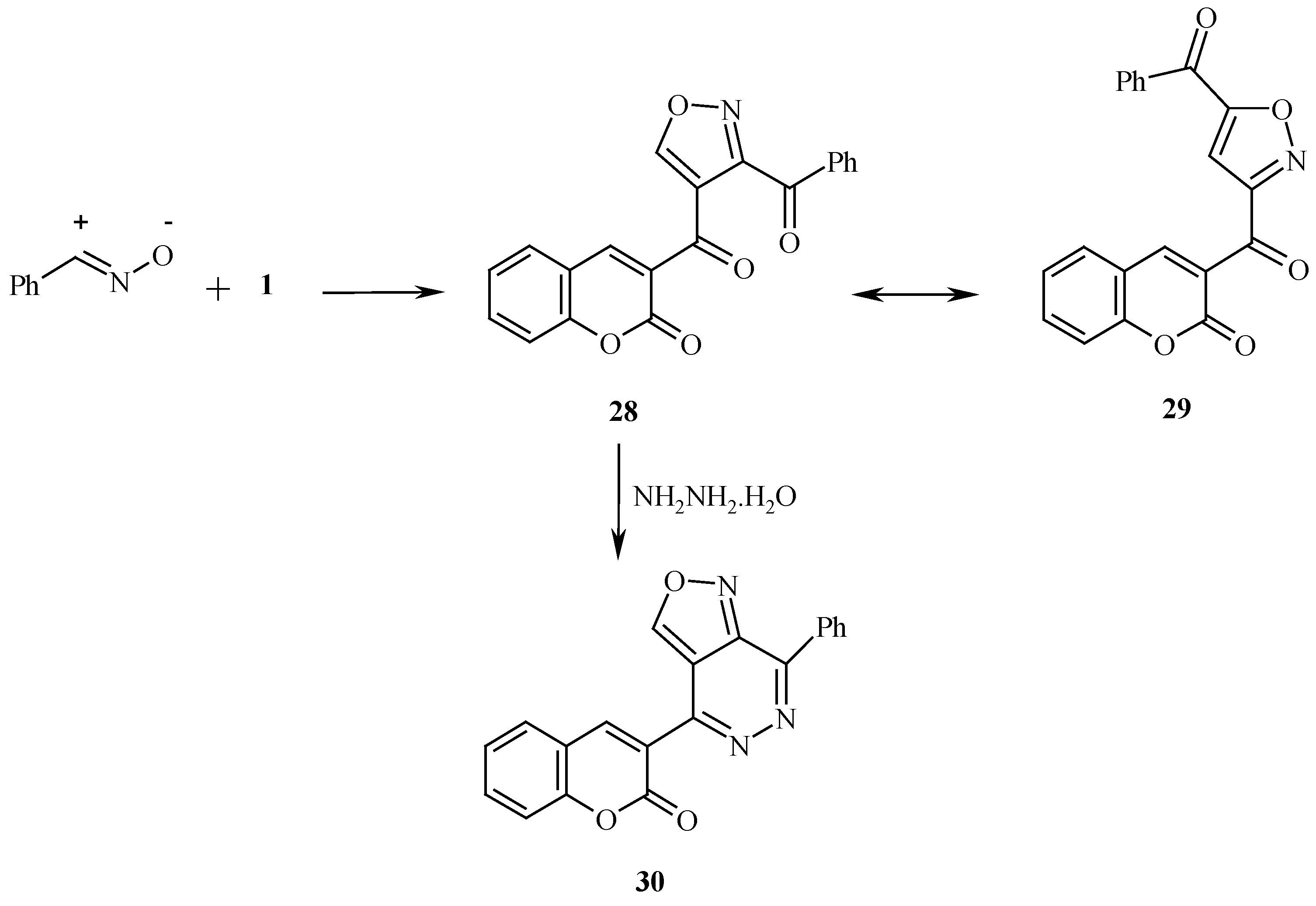Molecules 08 00541 g009