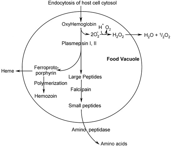 Molecules 08 00556 g001 550