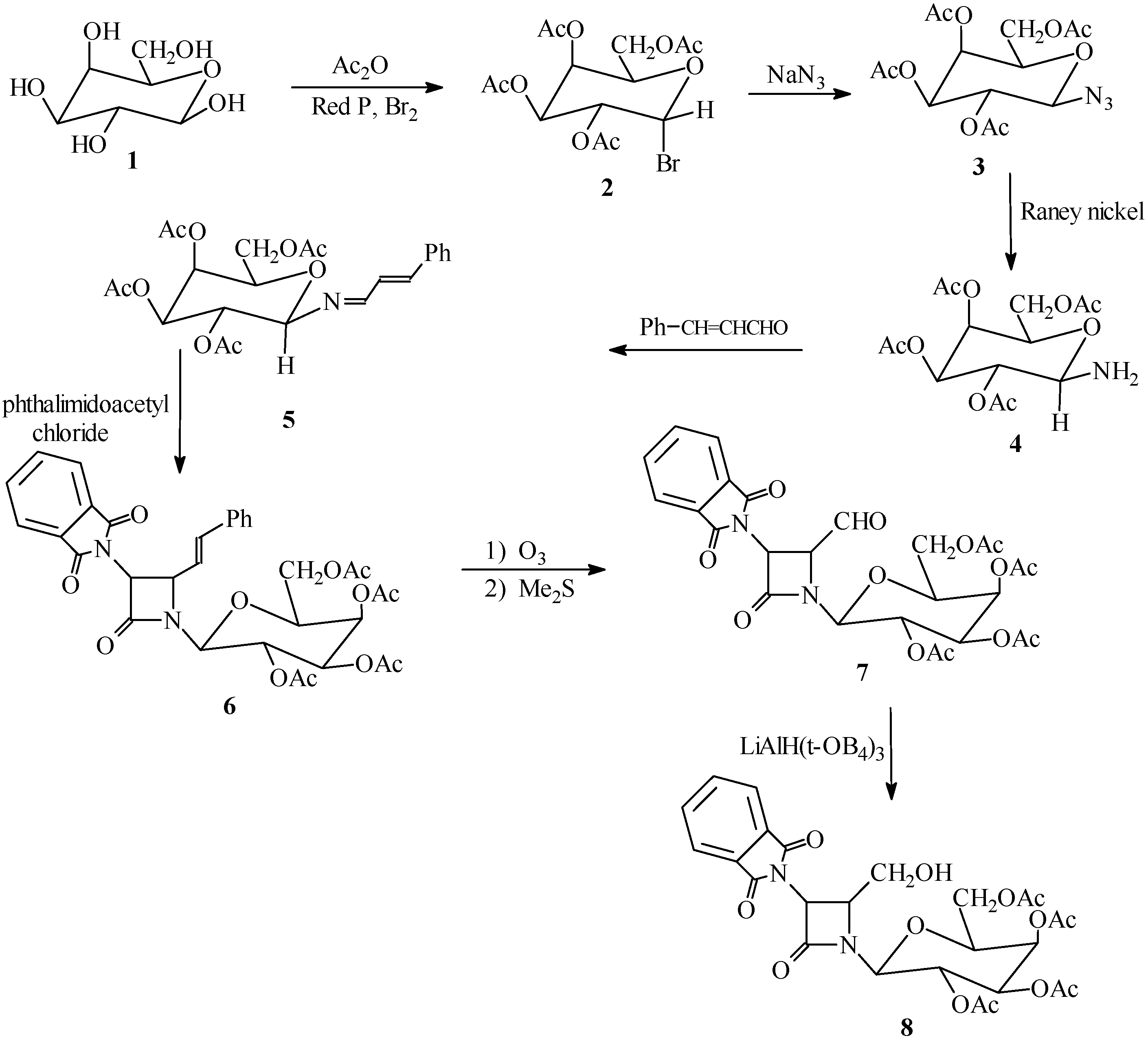 Molecules 09 00029 g001