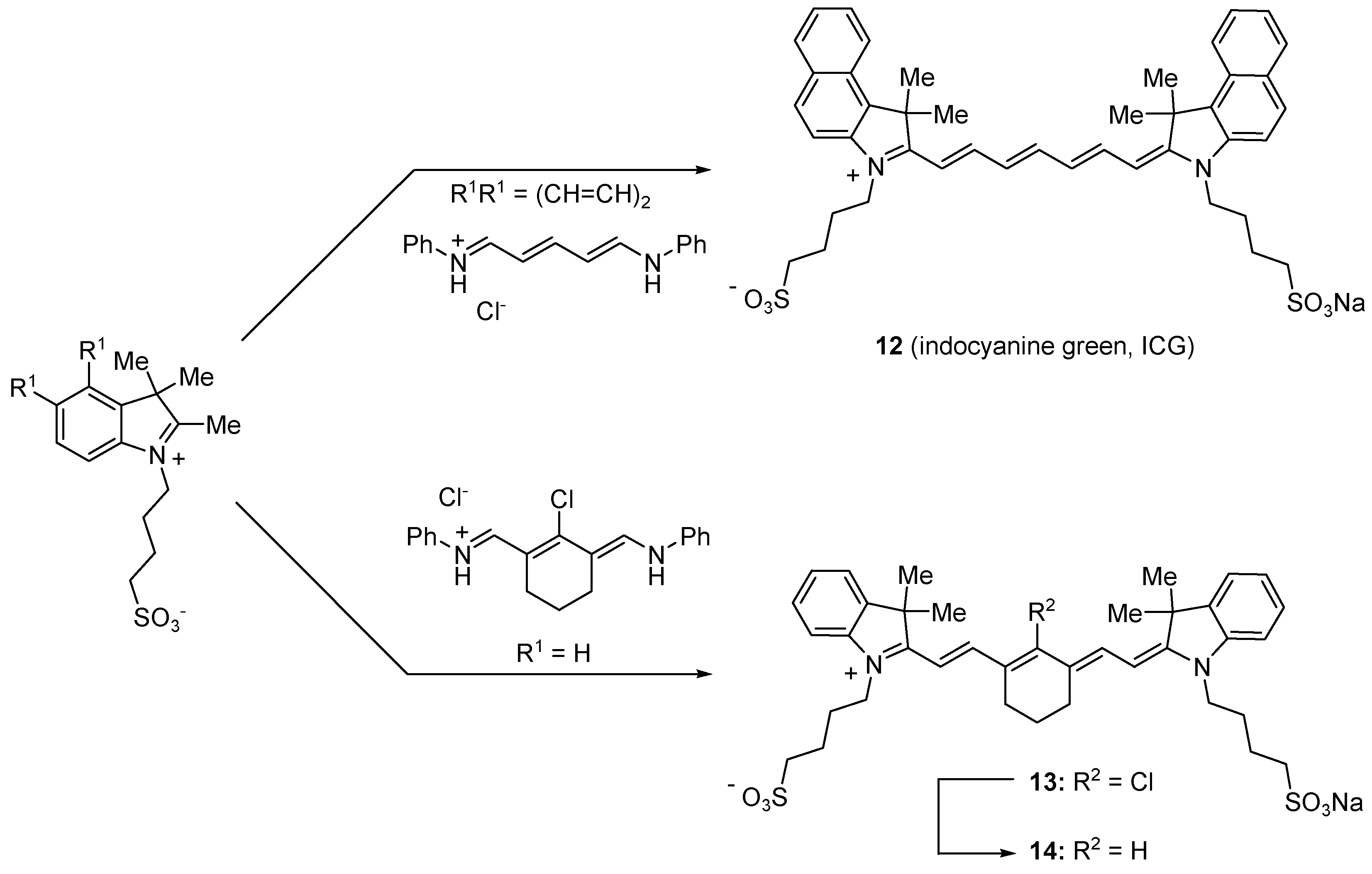 Molecules 09 00040 g006