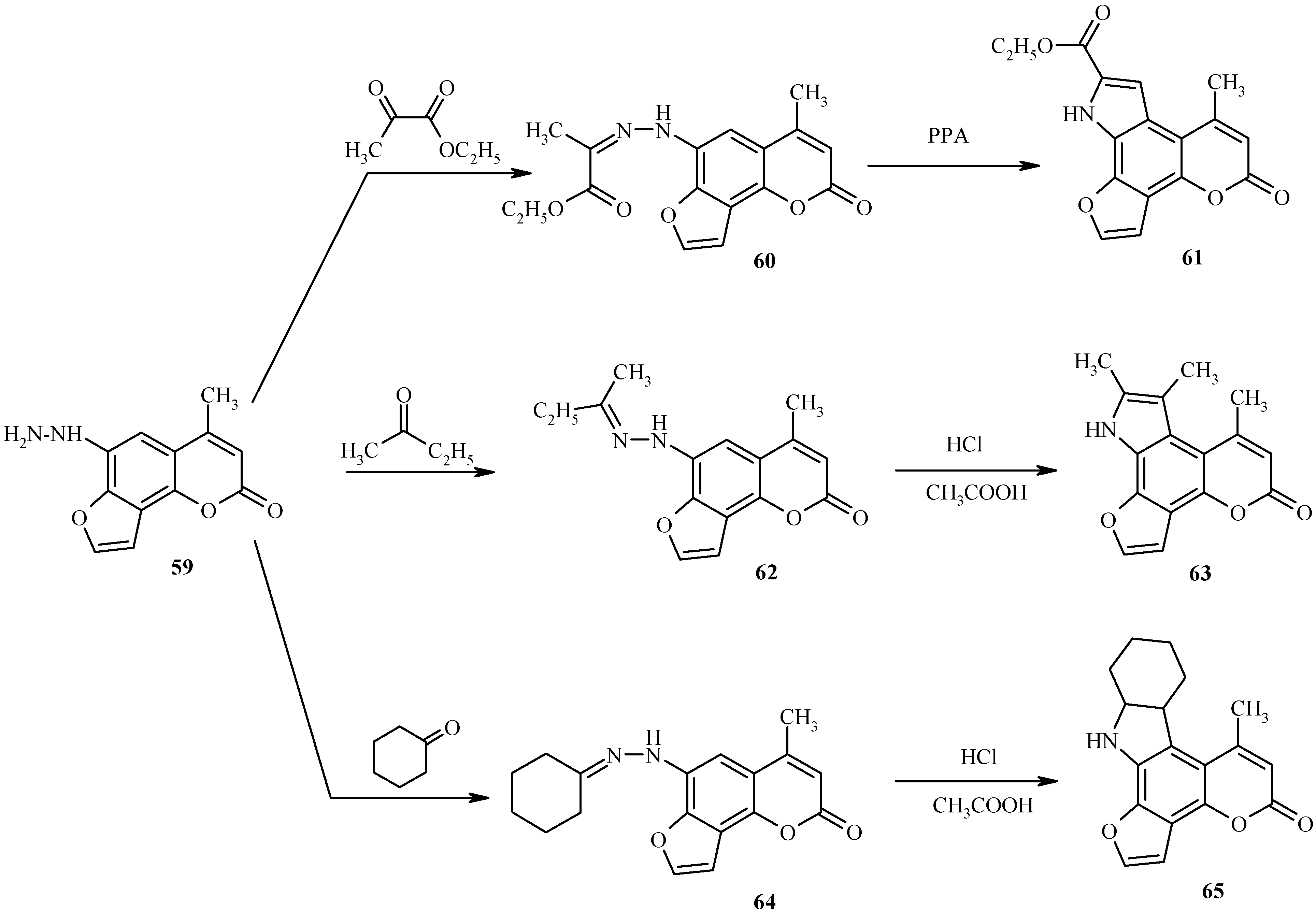 Molecules 09 00050 g029