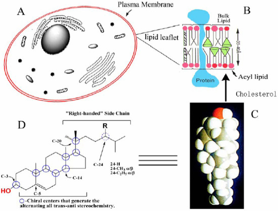 Molecules 09 00185 g001 550
