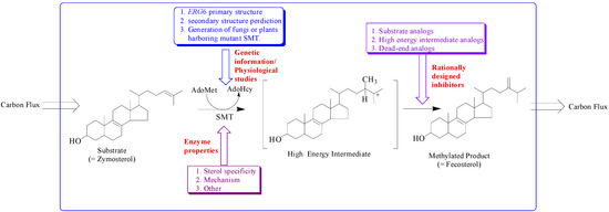 Molecules 09 00185 g002 550