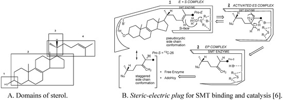 Molecules 09 00185 g004 550
