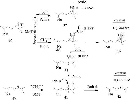 Molecules 09 00185 g009 550