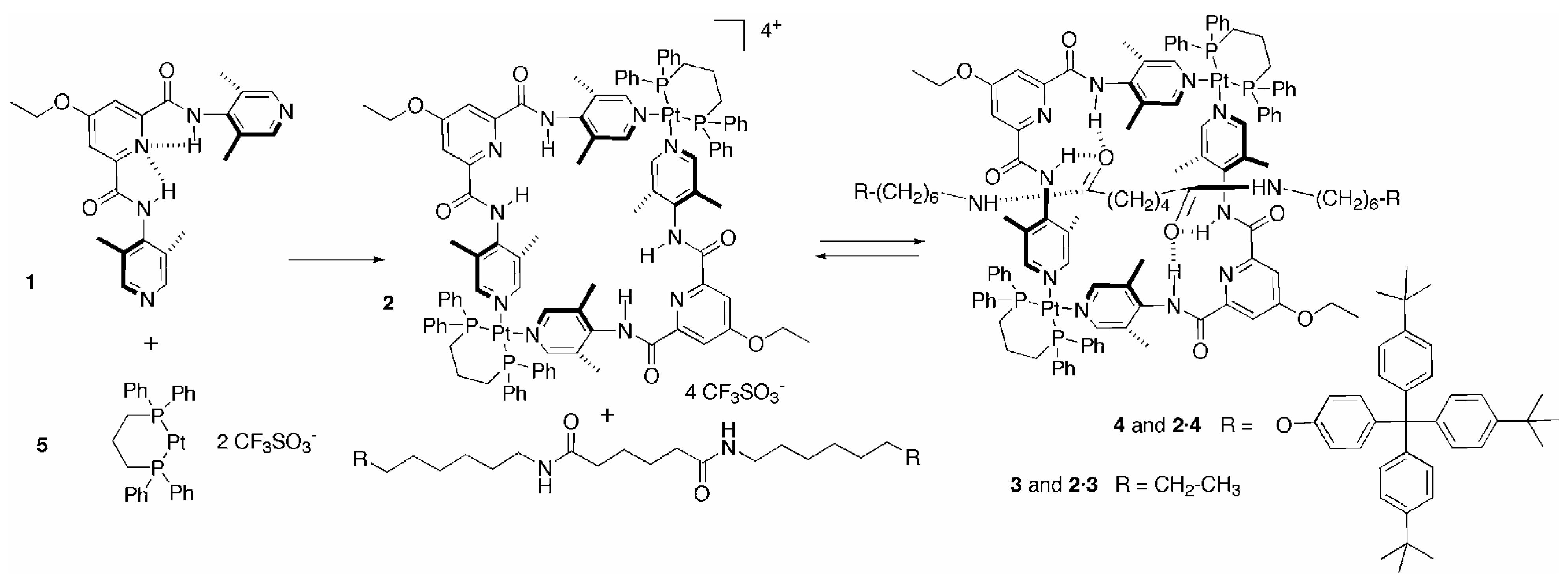 Molecules 09 00278 g004