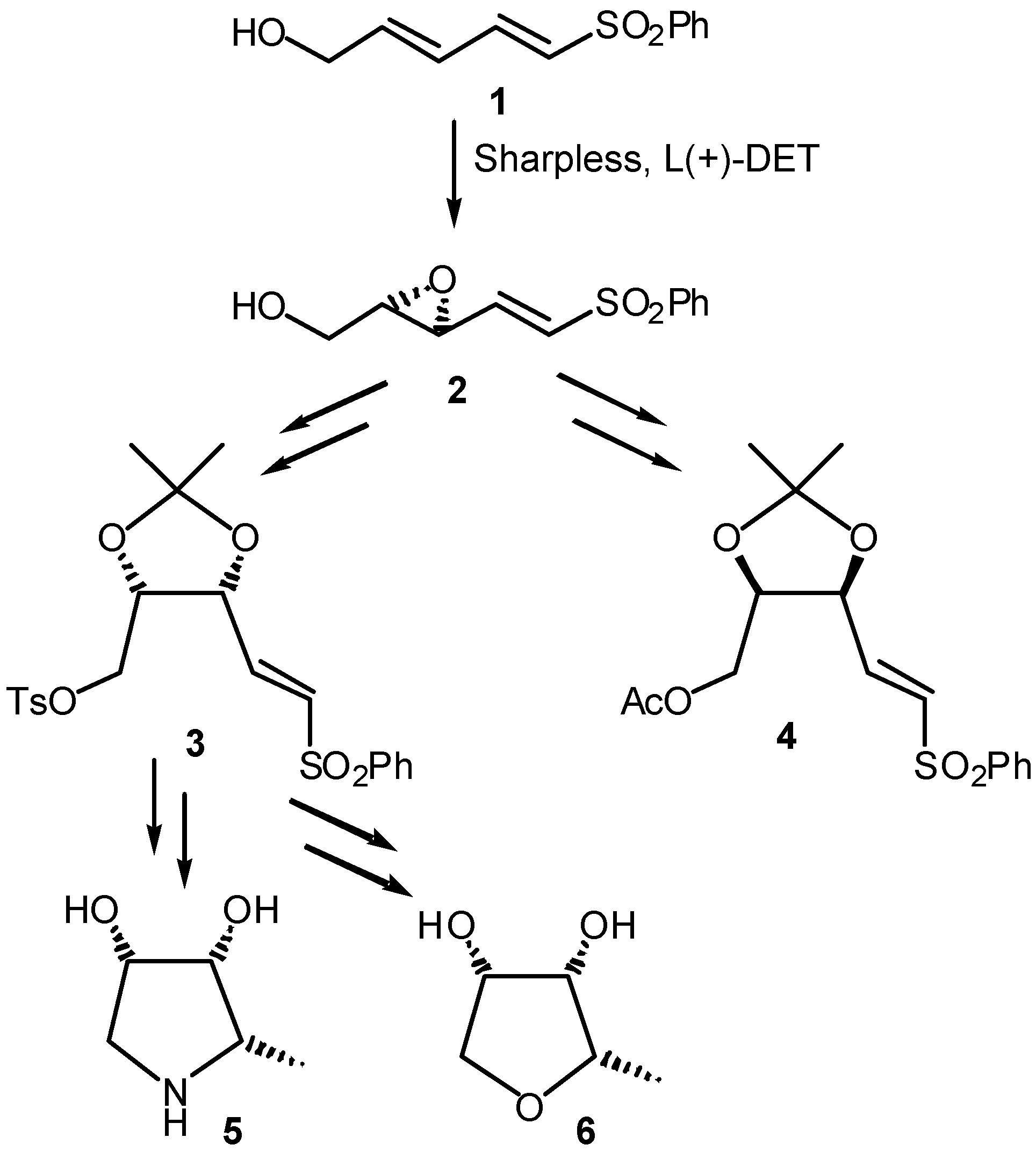 Molecules 09 00323 g001