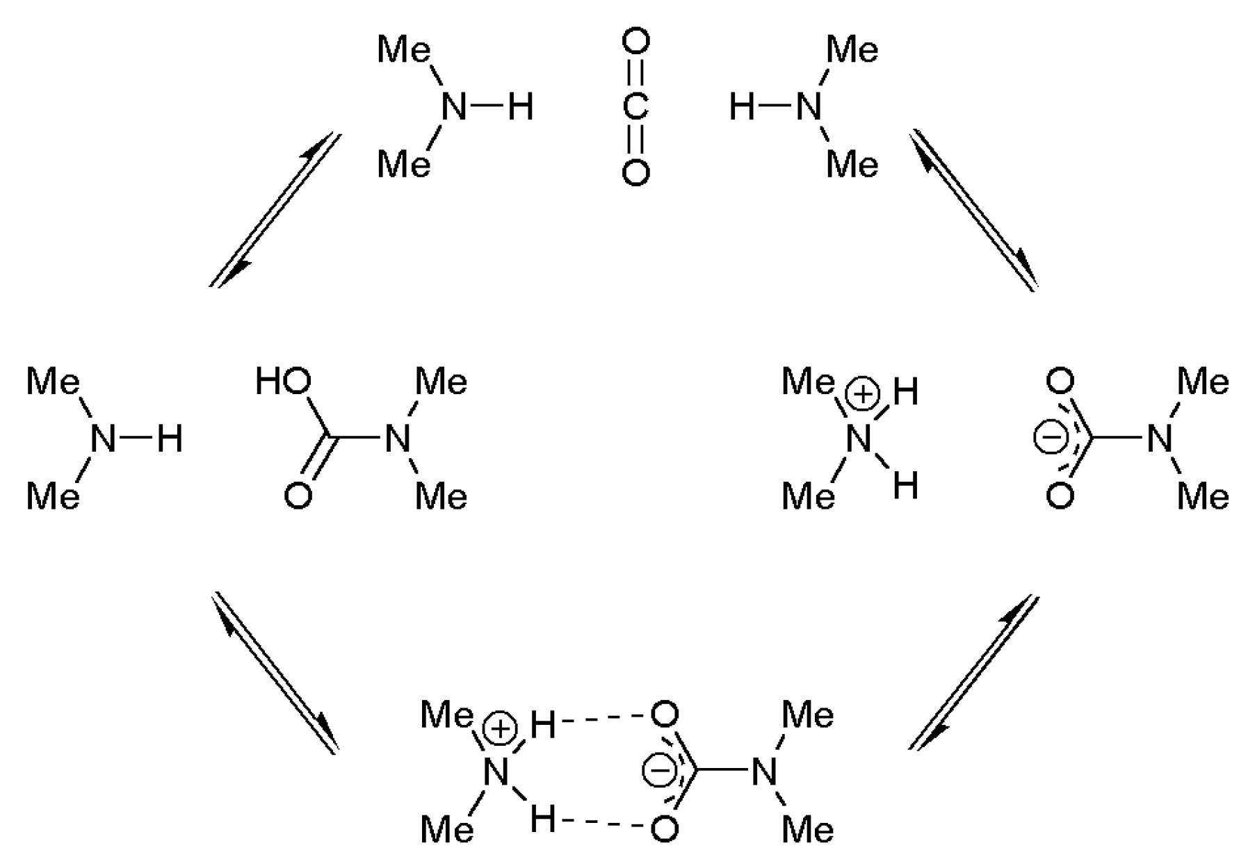 Molecules 09 00387 g004