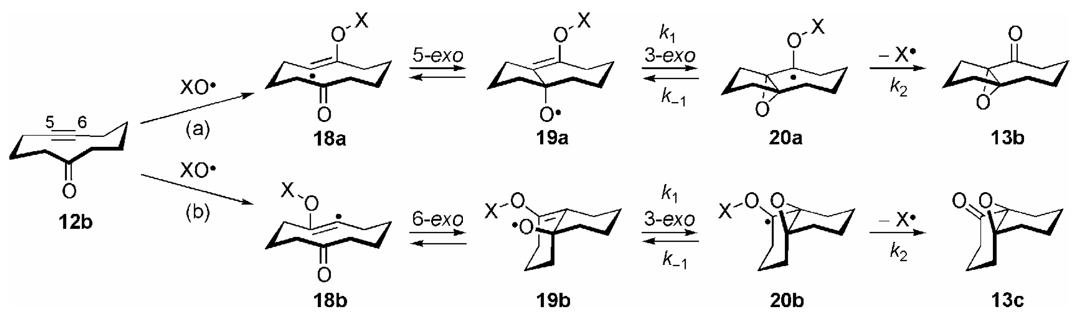 Molecules 09 00480 g004