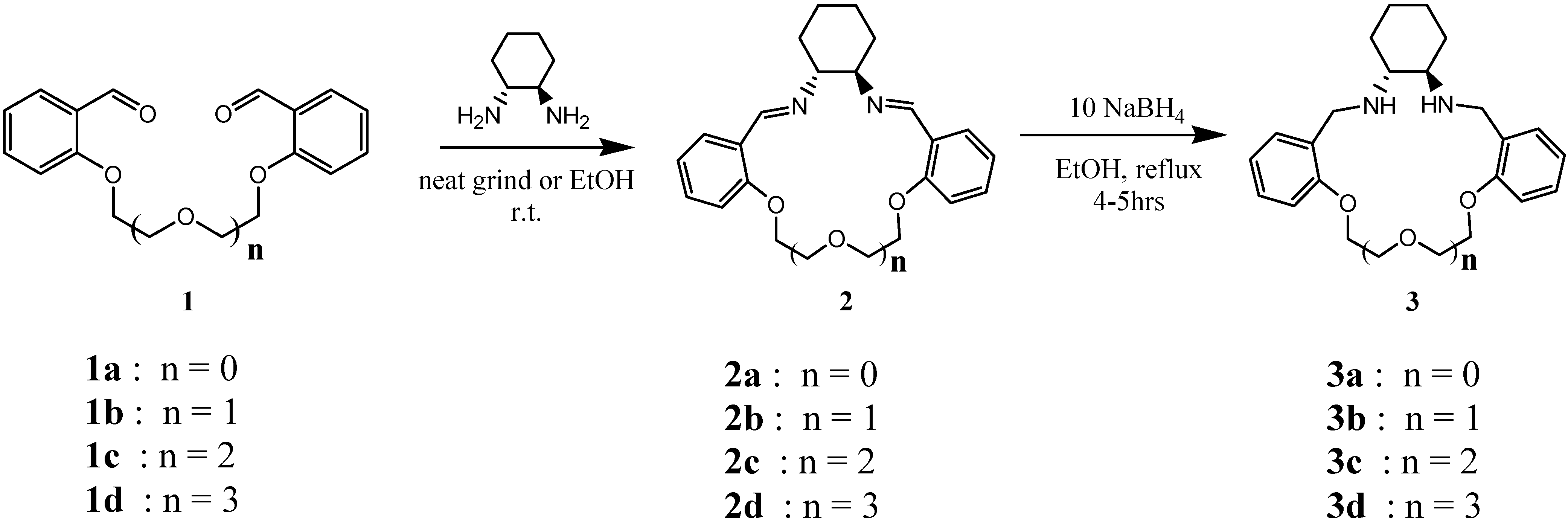 Molecules 09 00513 g001